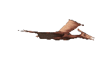 pteranodon2.gif