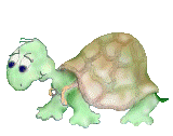La tortue dodue