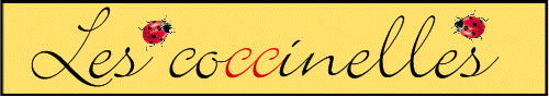 Bannière coccinelles